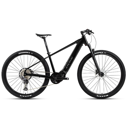 EM5 2025 - ELECTRIC ALLOY BIKE