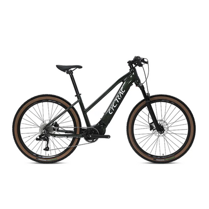 EC1 - ELECTRIC ALLOY BIKE