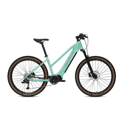 EC1 - ELECTRIC ALLOY BIKE