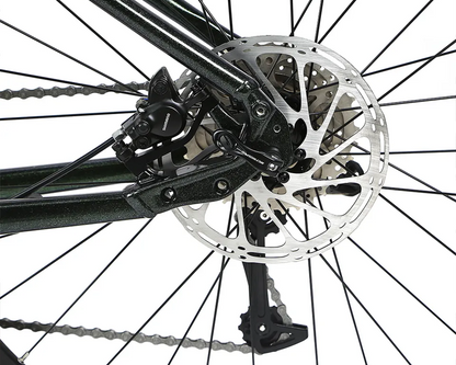 EC1 - ELECTRIC ALLOY BIKE